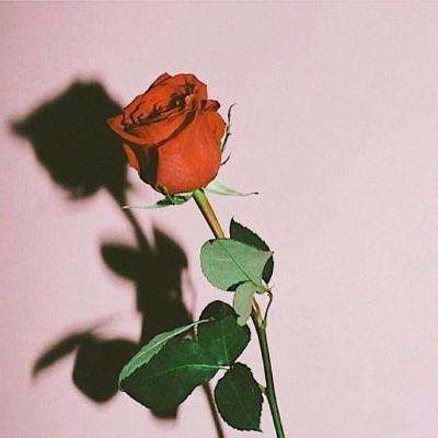 双赢彩票官方下载