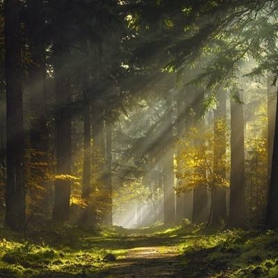 快三买大小的正规平台