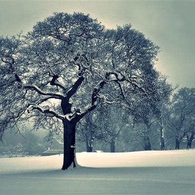 5848vip威尼斯电子游戏下载手机版