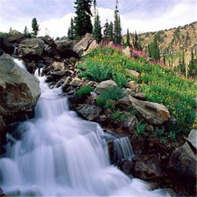 星空下载站官网