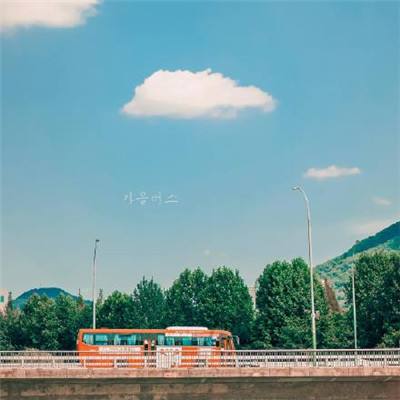 半岛手机综合体育登录