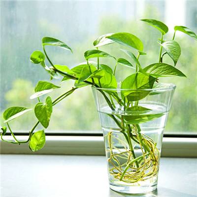 云开·(kaiyun)官方网站