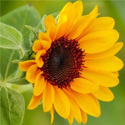 CQ9电子下载手机版